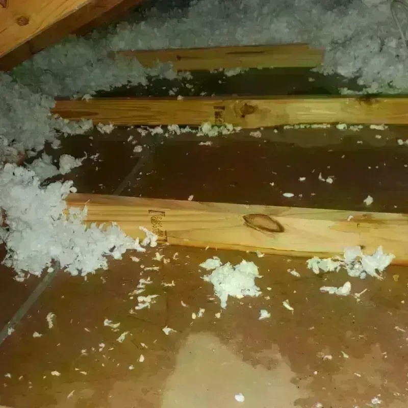 Attic Water Damage in Boothbay, ME